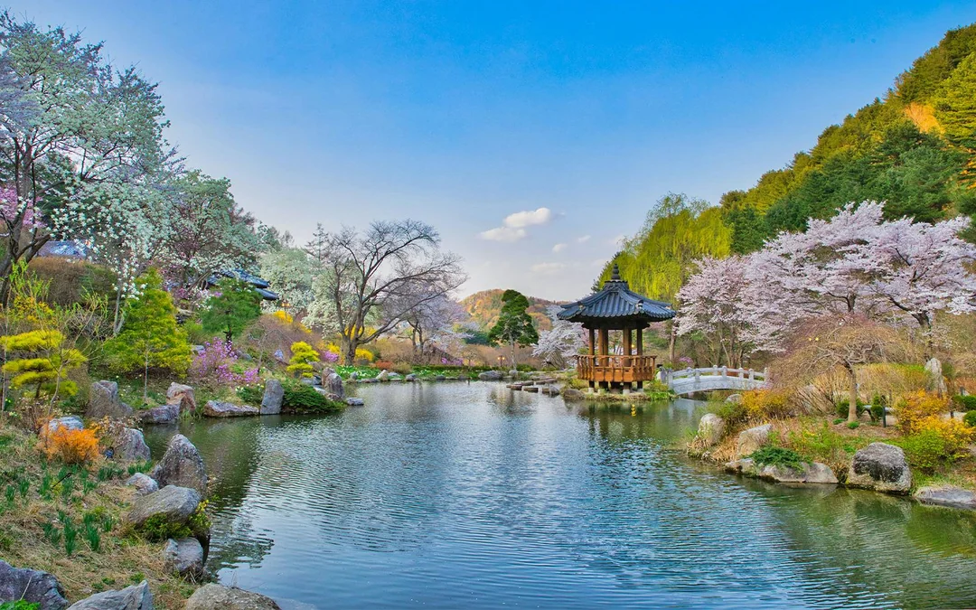 From Seoul: Nami Island & Alpaca World Guided Tour Image 5