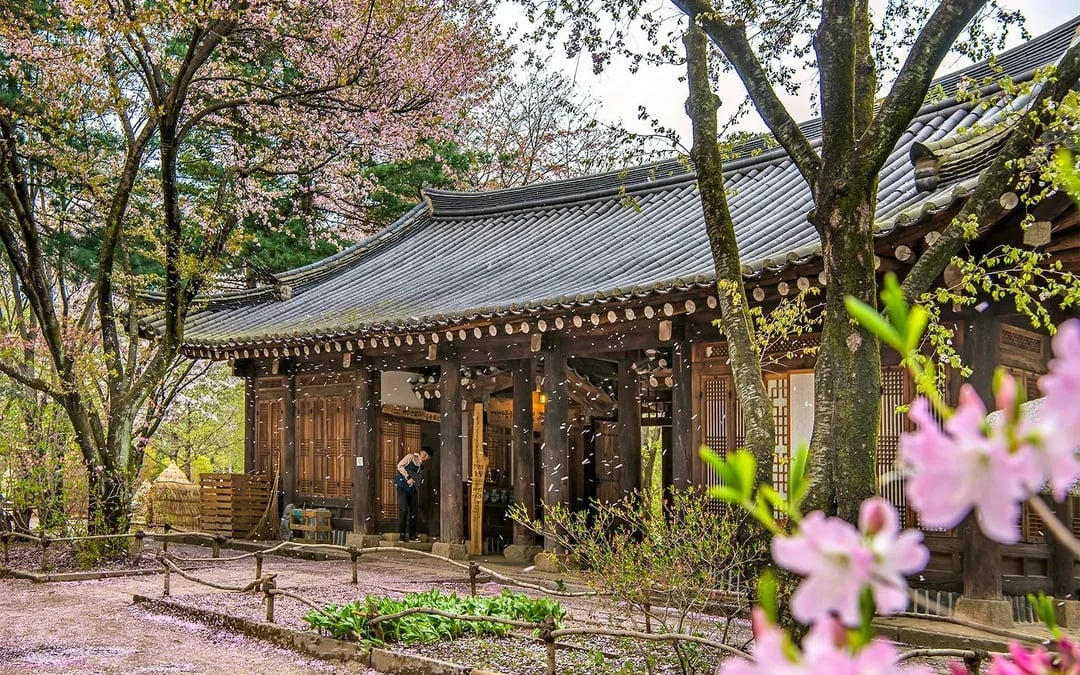From Seoul: Nami Island & Alpaca World Guided Tour Image 9