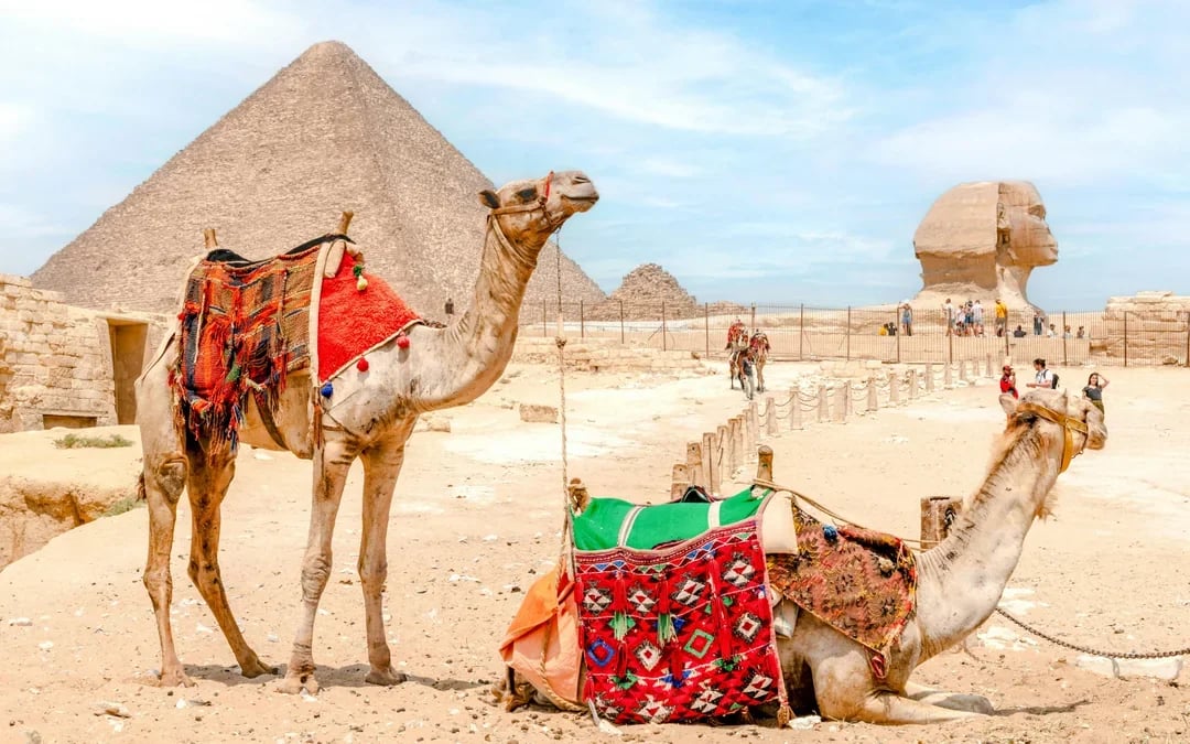 From Sharm El Sheikh by Flight: Full-Day Cairo Tour with Grand Egyptian Museum & Pyramids of Giza  Image 2