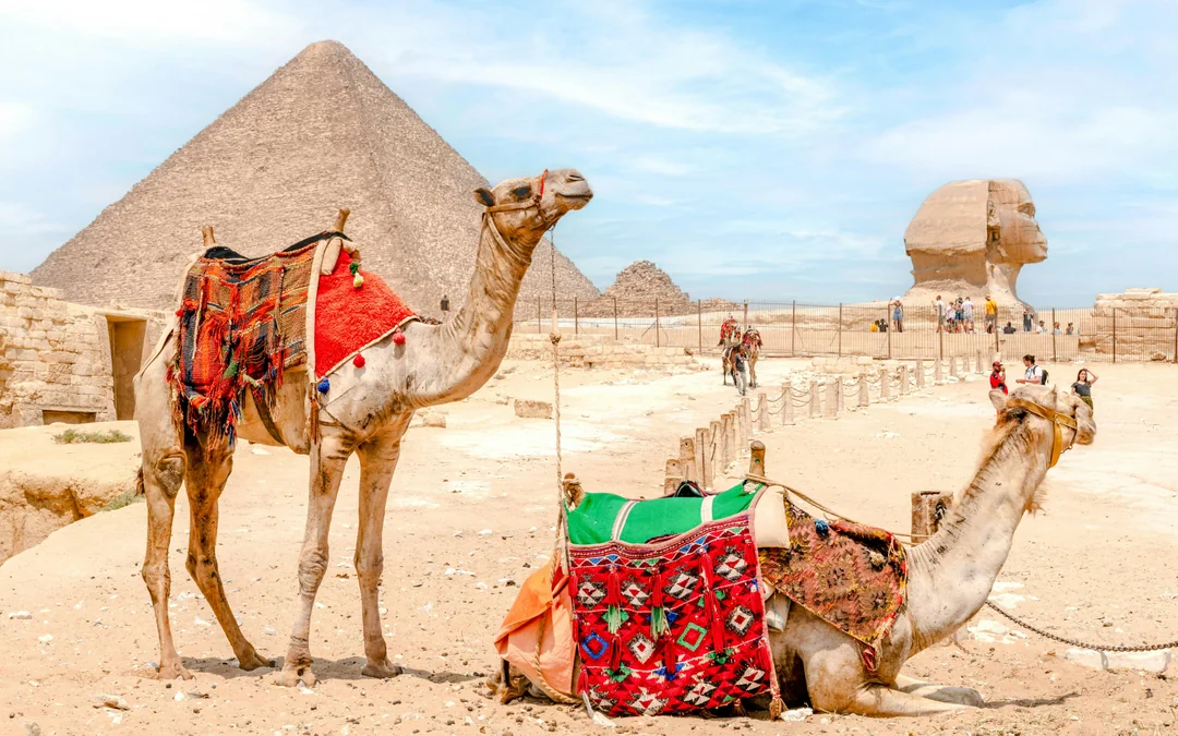 From Sharm El Sheikh by Flight: Full-Day Cairo Tour with Grand Egyptian Museum & Pyramids of Giza Image 2
