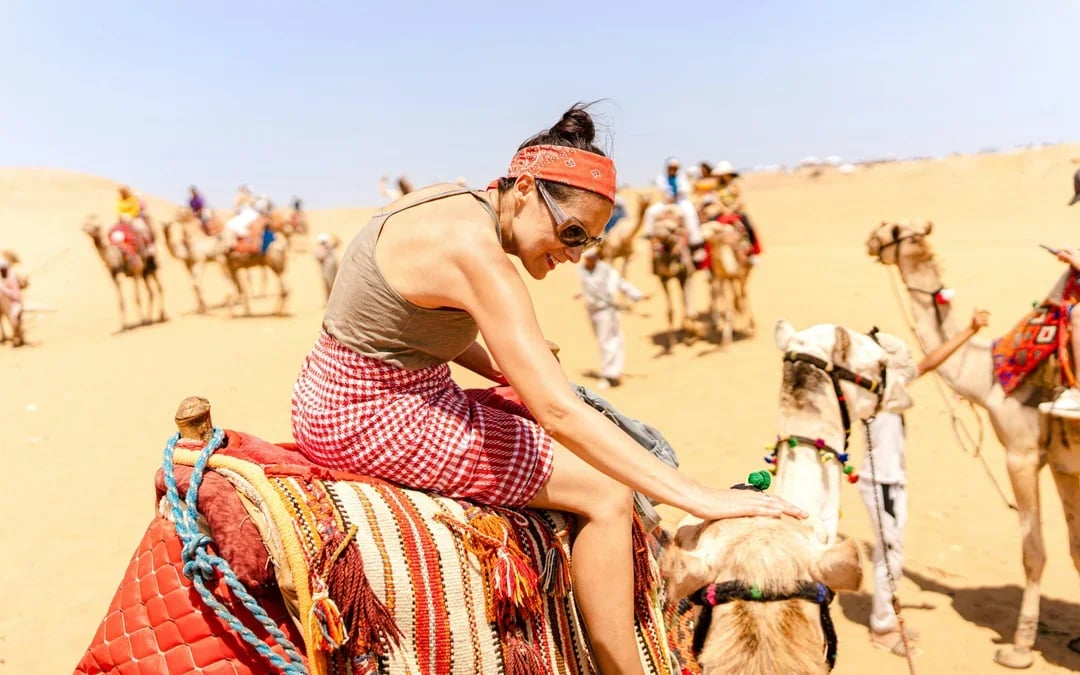 From Sharm El Sheikh by Flight: Full-Day Cairo Tour with Grand Egyptian Museum & Pyramids of Giza  Image 9