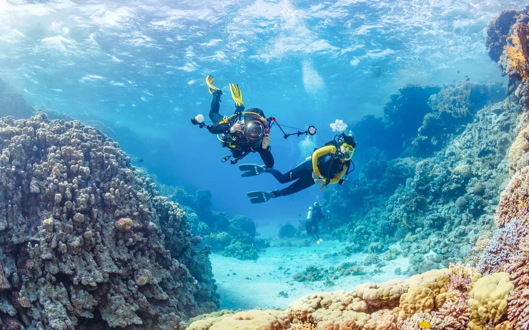 From Sharm El-Sheikh: Diving at Ras Mohamed & White Island with Round-Trip Hotel Transfers Image 6