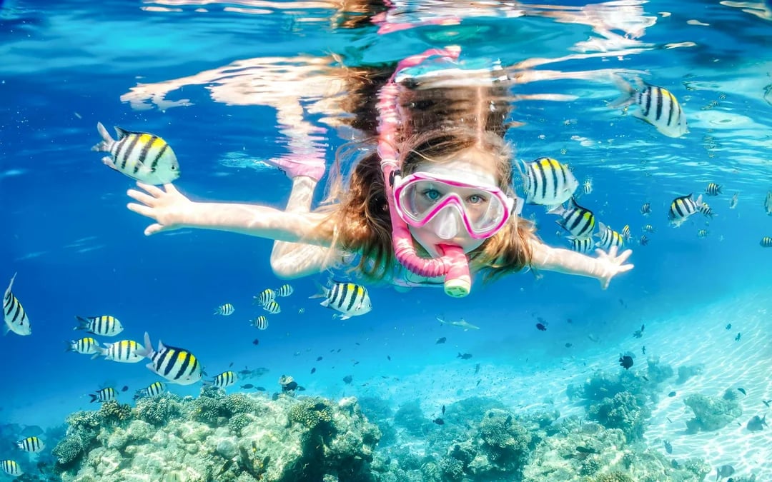 From Sharm El-Sheikh: Diving at Ras Mohamed & White Island with Round-Trip Hotel Transfers Image 7