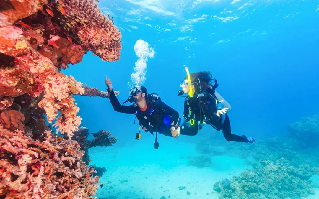 From Sharm El-Sheikh: Diving at Ras Mohamed & White Island with Round-Trip Hotel Transfers Image 8