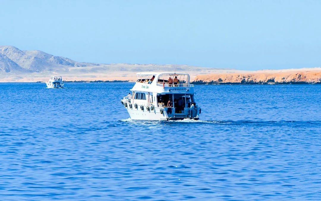 From Sharm El Sheikh: Private Ras Mohamed & White Island Cruise with Diving, Snorkeling, BBQ Lunch & Transfers Image 3
