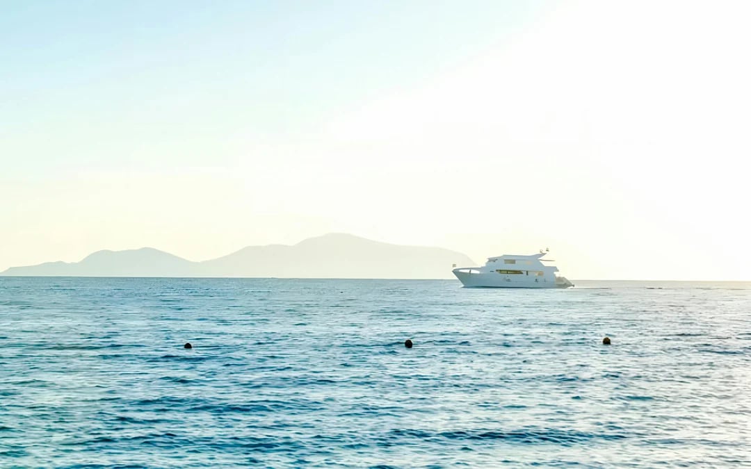 From Sharm El Sheikh: Private Speedboat Trip to Tiran Island with Snorkeling Image 4