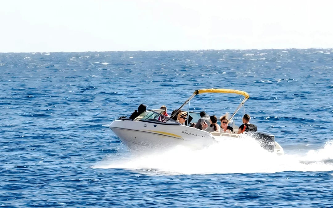 From Sharm El Sheikh: Private Speedboat Trip to Tiran Island with Snorkeling Image 5