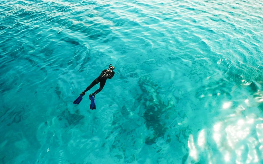From Sharm El-Sheikh: Ras Mohamed & White Island Diving & Snorkeling Cruise with BBQ Lunch & Transfers Image 4