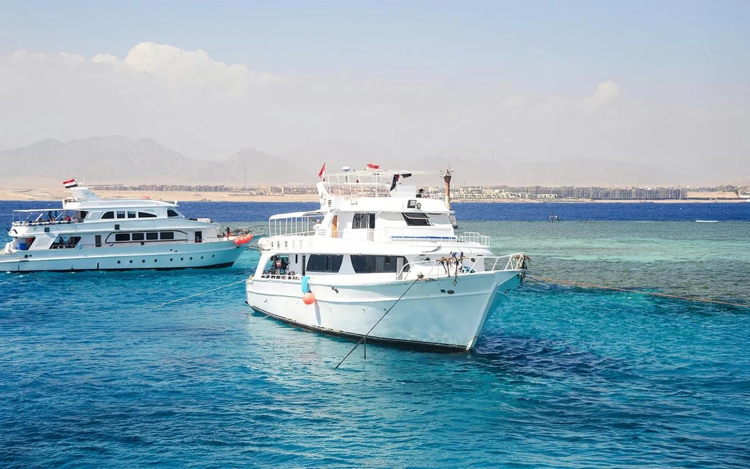 From Sharm El Sheikh: Tiran Island Cruise with Diving, Snorkeling & Lunch Image 1