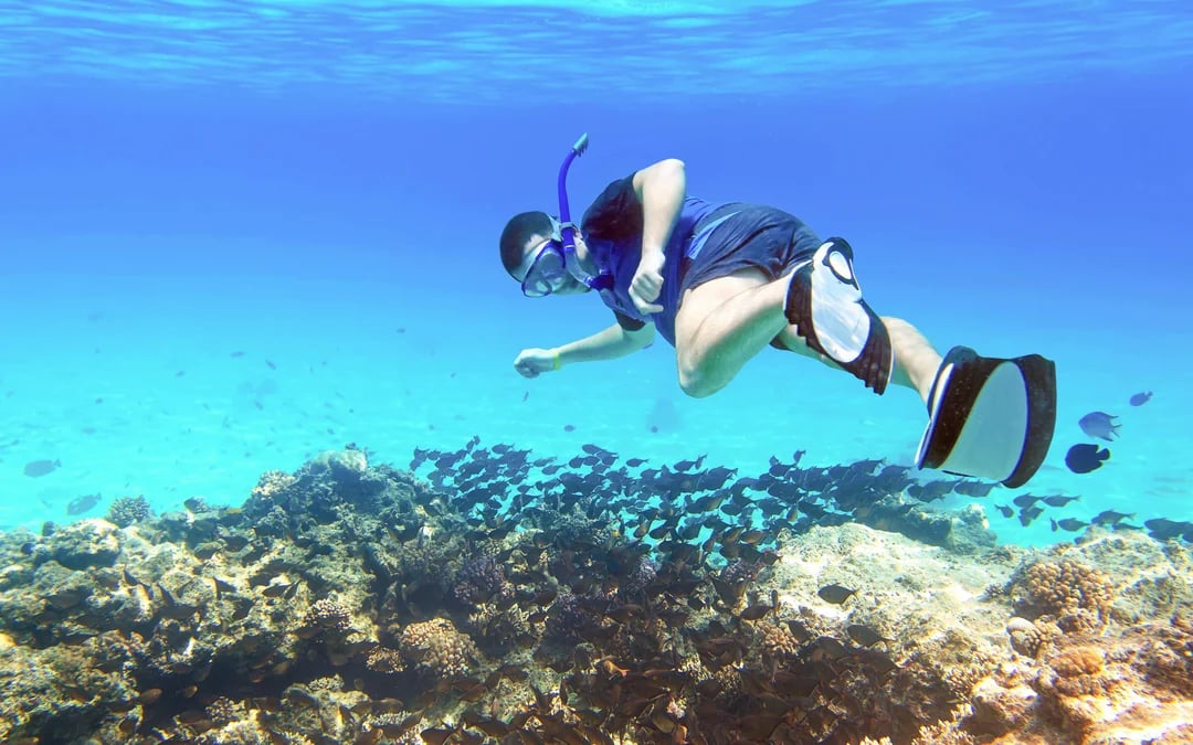 From Sharm El Sheikh: Tiran Island Cruise with Diving, Snorkeling & Lunch Image 3