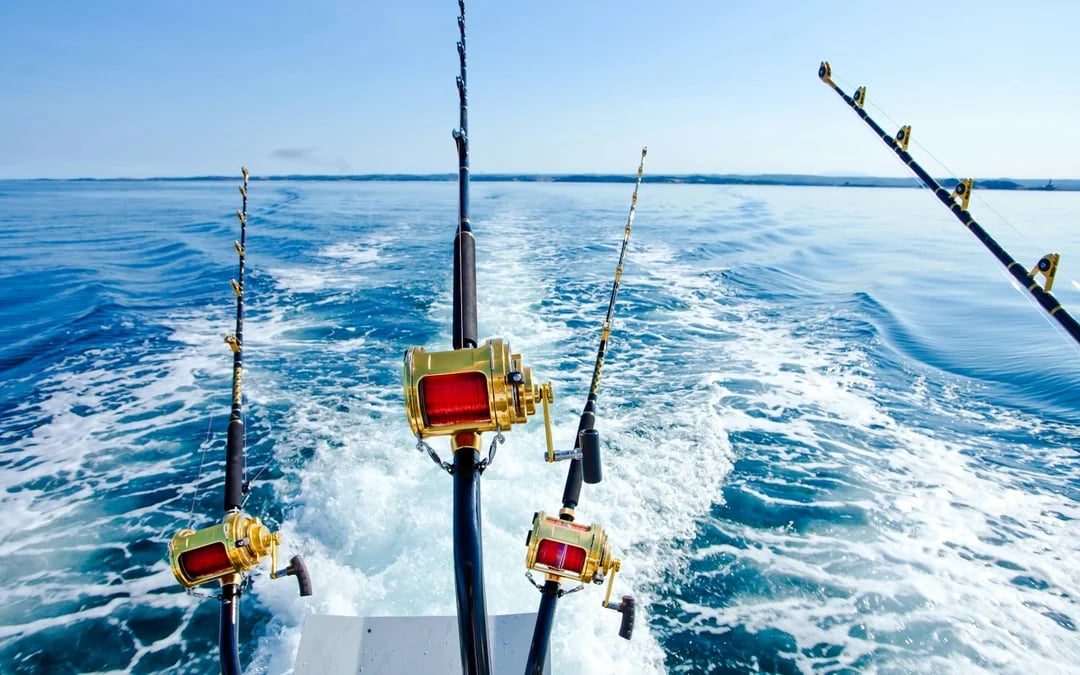 From Side: Open-Sea Fishing Trip with Hotel Transfers Image 3
