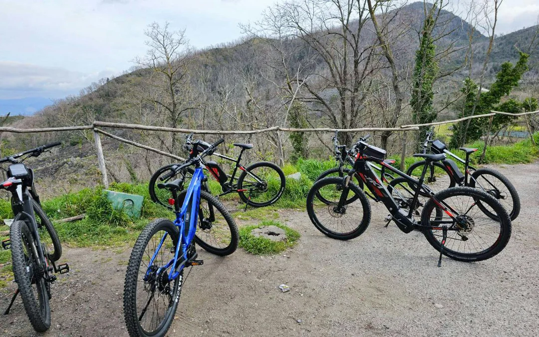 From Sorrento: Mount Vesuvius Guided E-Bike Tour Image 3