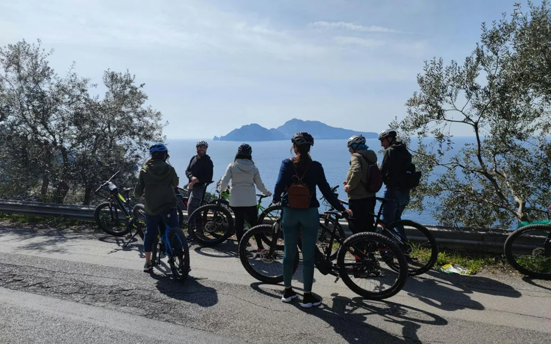 From Sorrento: Mount Vesuvius Guided E-Bike Tour Image 5