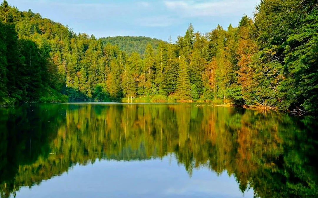 From Split or Trogir: Plitvice Lakes Guided Day Trip with Zagreb Transfer Image 3