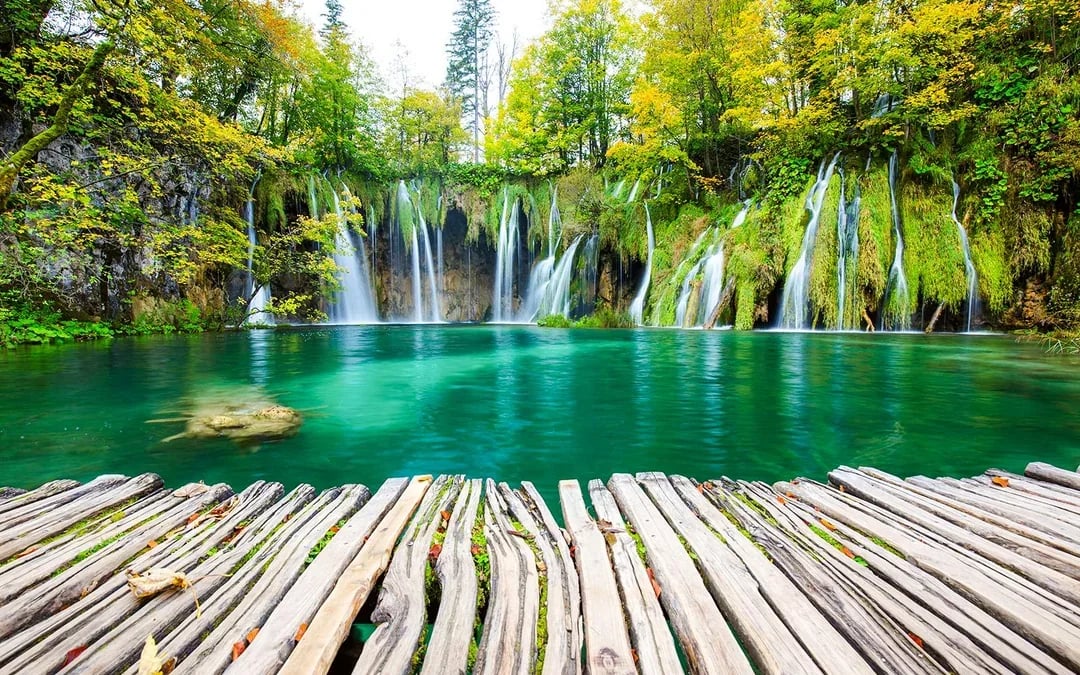 From Split or Trogir: Plitvice Lakes Private Guided Tour with Hotel Transfers Image 7