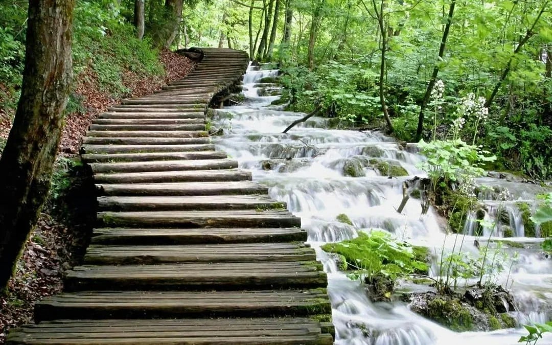 From Split or Trogir: Plitvice Lakes Private Guided Tour with Hotel Transfers Image 9