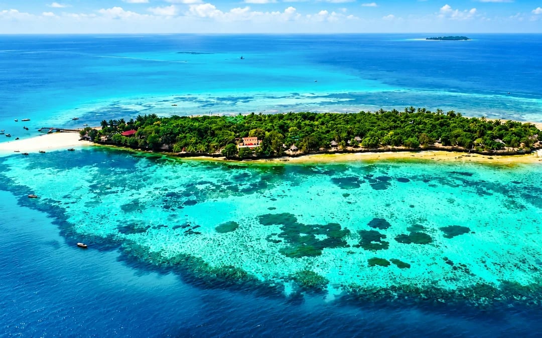 From Stone Town: Prison Island and Nakupenda Sandbank Boat Tour with BBQ Lunch Image 7