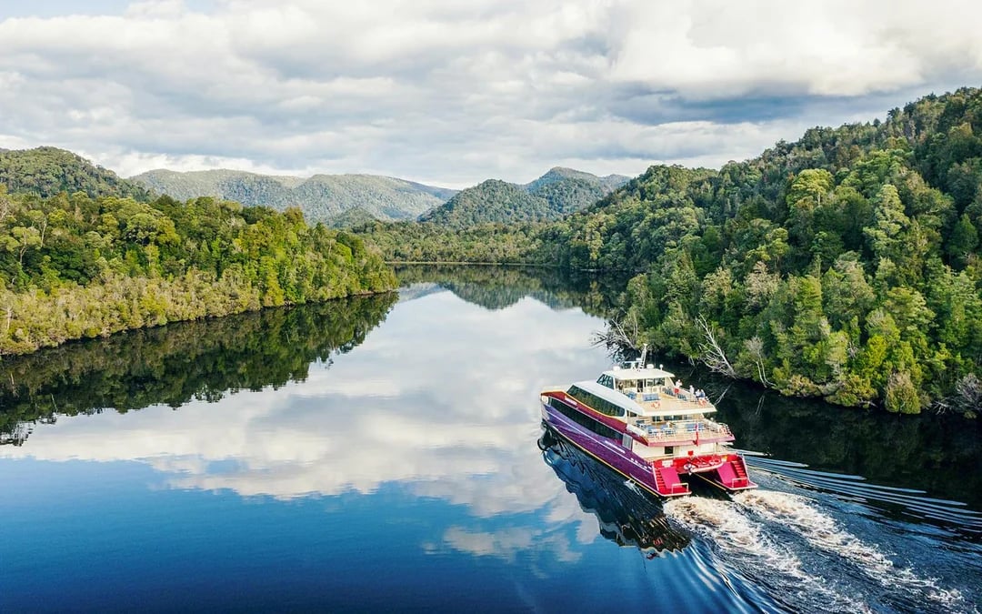 From Strahan: World Heritage Afternoon Cruise on Gordon River with Dinner Image 6