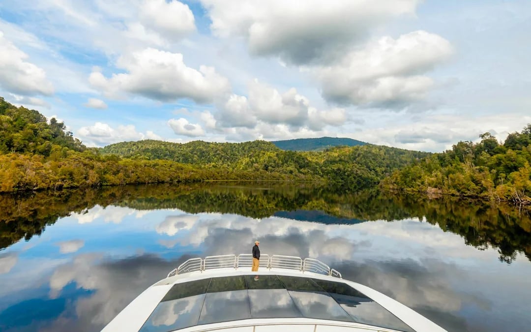 From Strahan: World Heritage Morning Cruise on Gordon River with Lunch Image 4