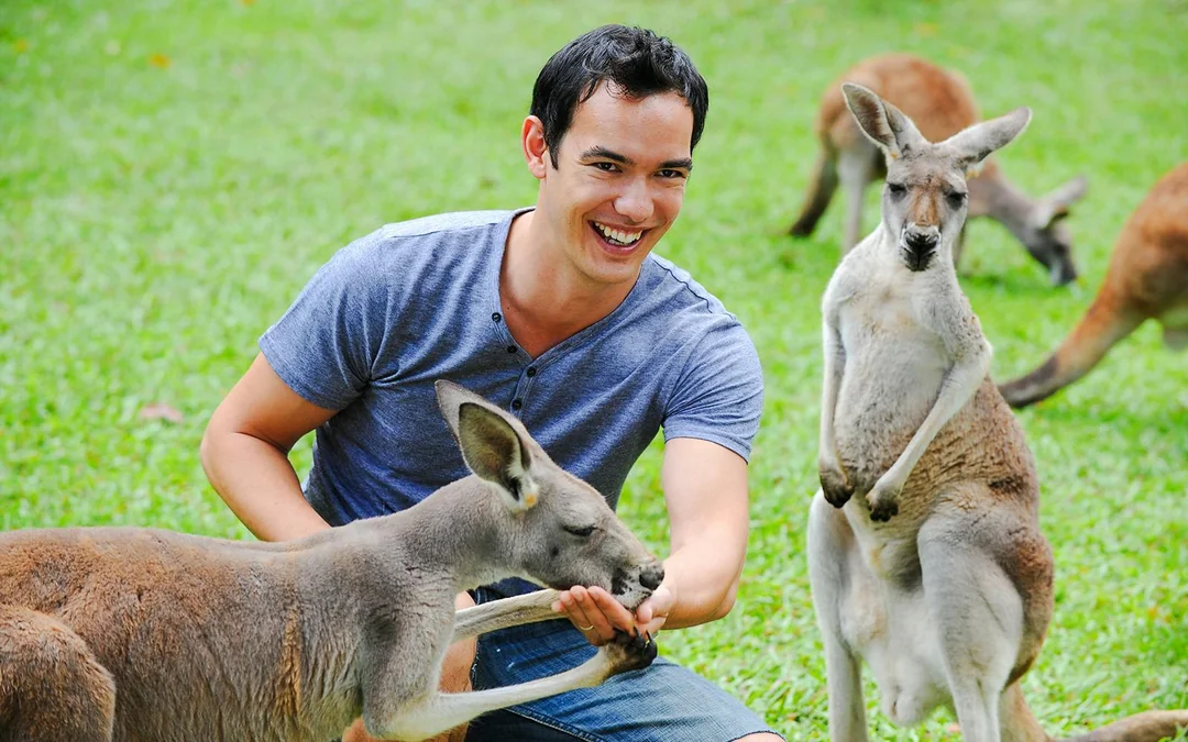 From Sunshine Coast: Australia Zoo Tickets with Transfers Image 4
