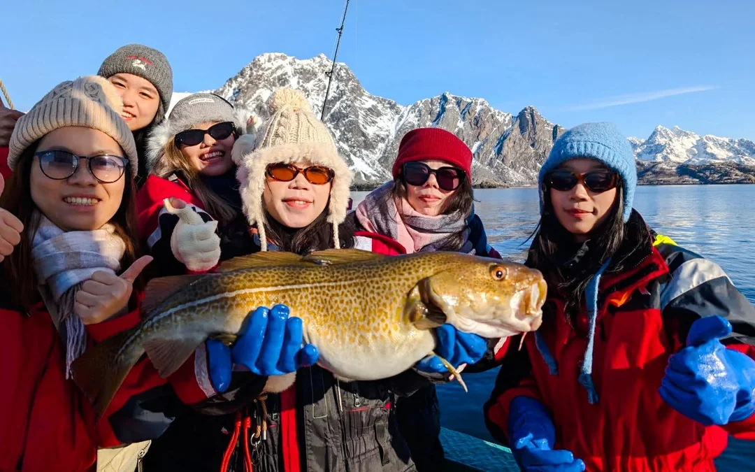 From Svolvær: Lofoten Fishing Boat Cruise Image 5