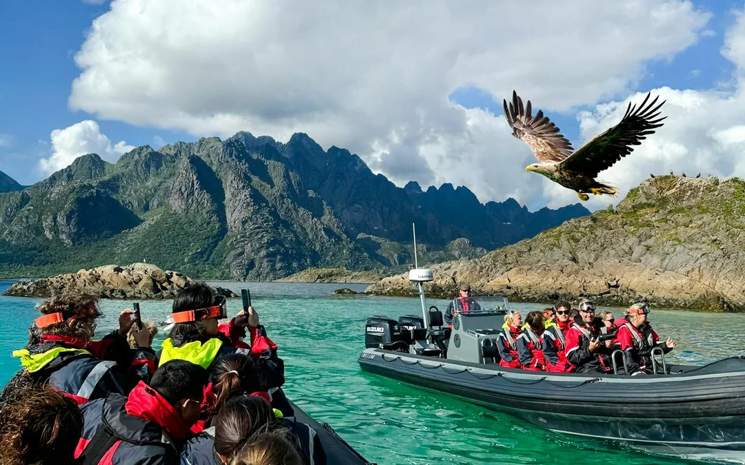 From Svolvær: RIB Boat Lofoten Trollfjord & Sea Eagle Safari Image 2