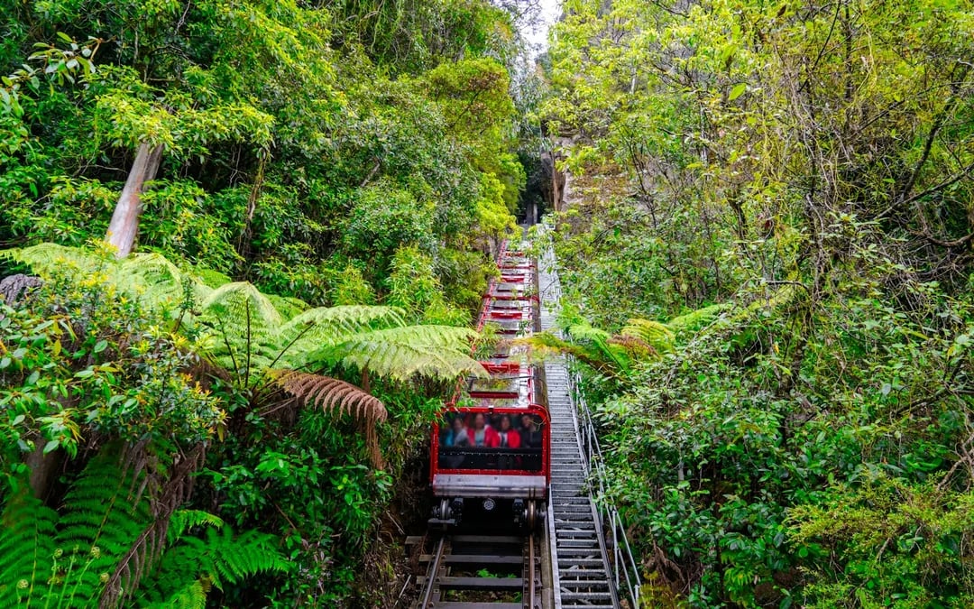 From Sydney: Blue Mountains Day Trip with Scenic World Pass, Sydney Zoo, Lincoln's Rock and River Ferry Image 5