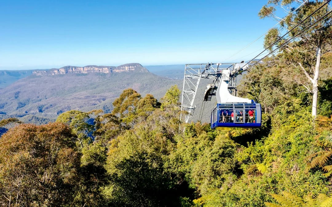 From Sydney: Blue Mountains Day Trip with Scenic World Pass, Sydney Zoo, Lincoln's Rock and River Ferry Image 8
