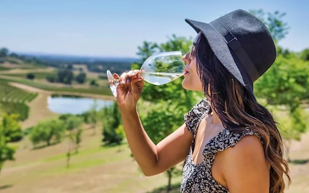 From Sydney: Hunter Valley Wine & Dine Tour Image 3