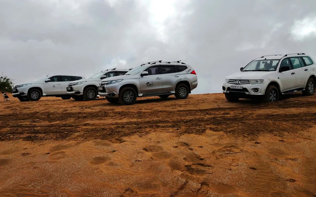 From Taghazout: 4x4 Mini-Sahara Dunes and Souss-Massa National Park Tour with Lunch Image 9