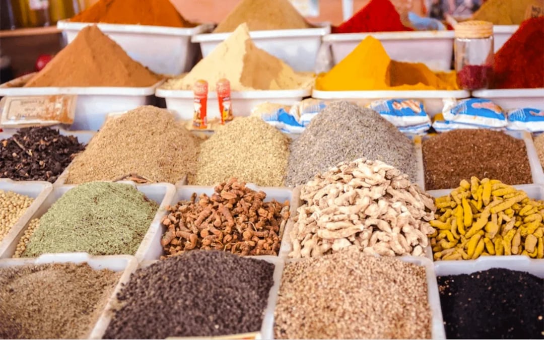 From Taghazout: Agadir Guided City Tour Image 7