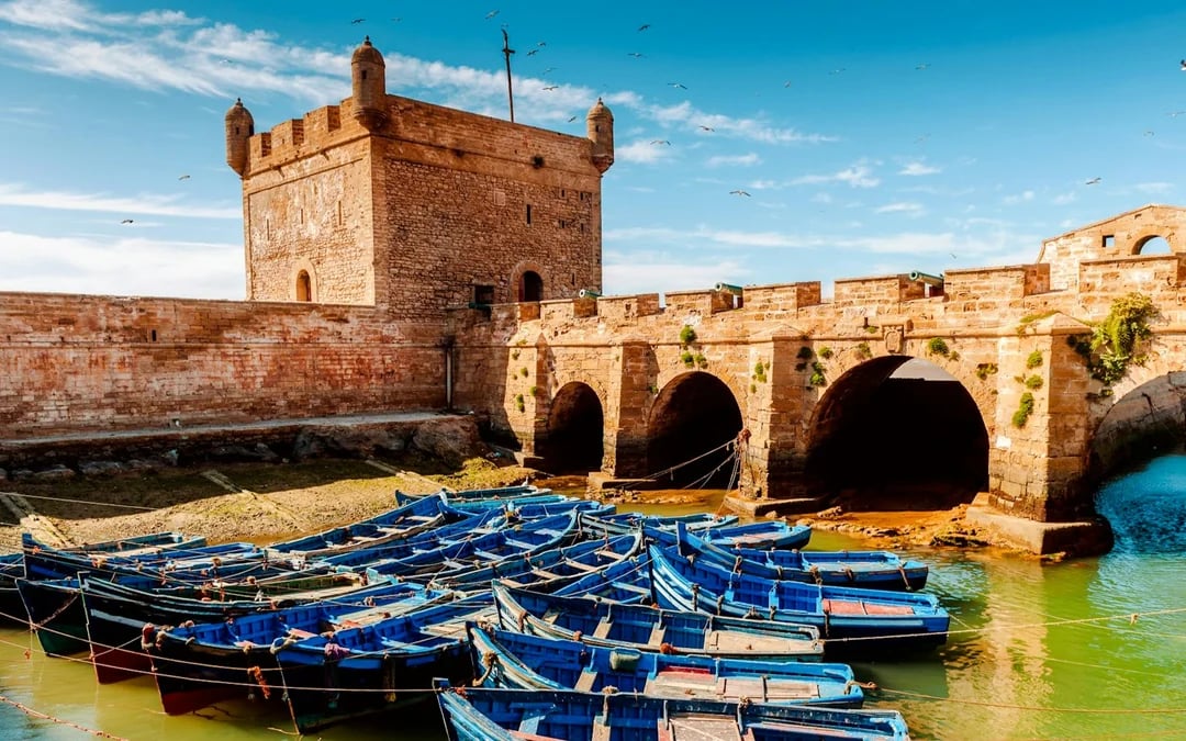 From Taghazout: Essaouira Day Trip Image 6