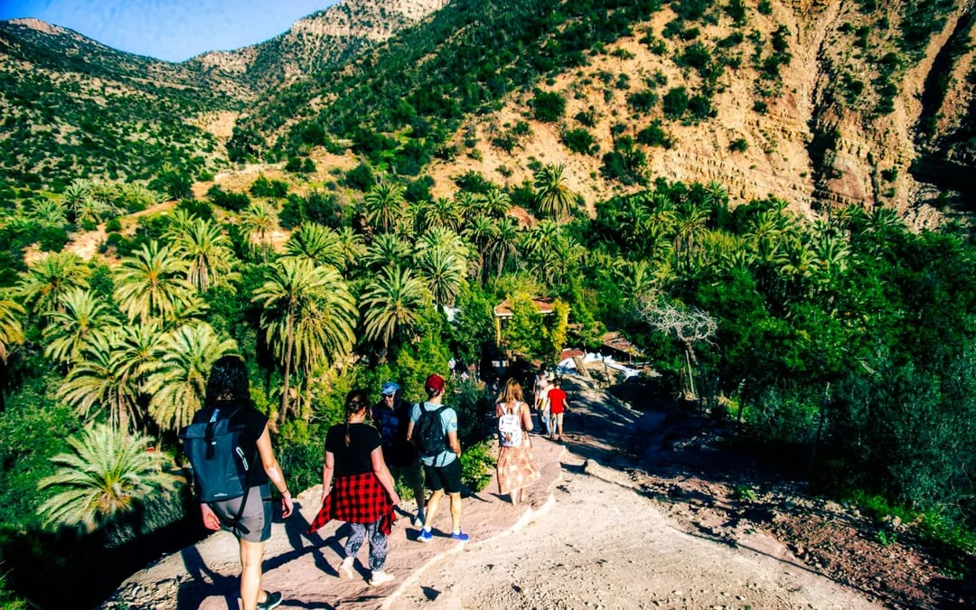 From Taghazout: Paradise Valley Tour Image 7