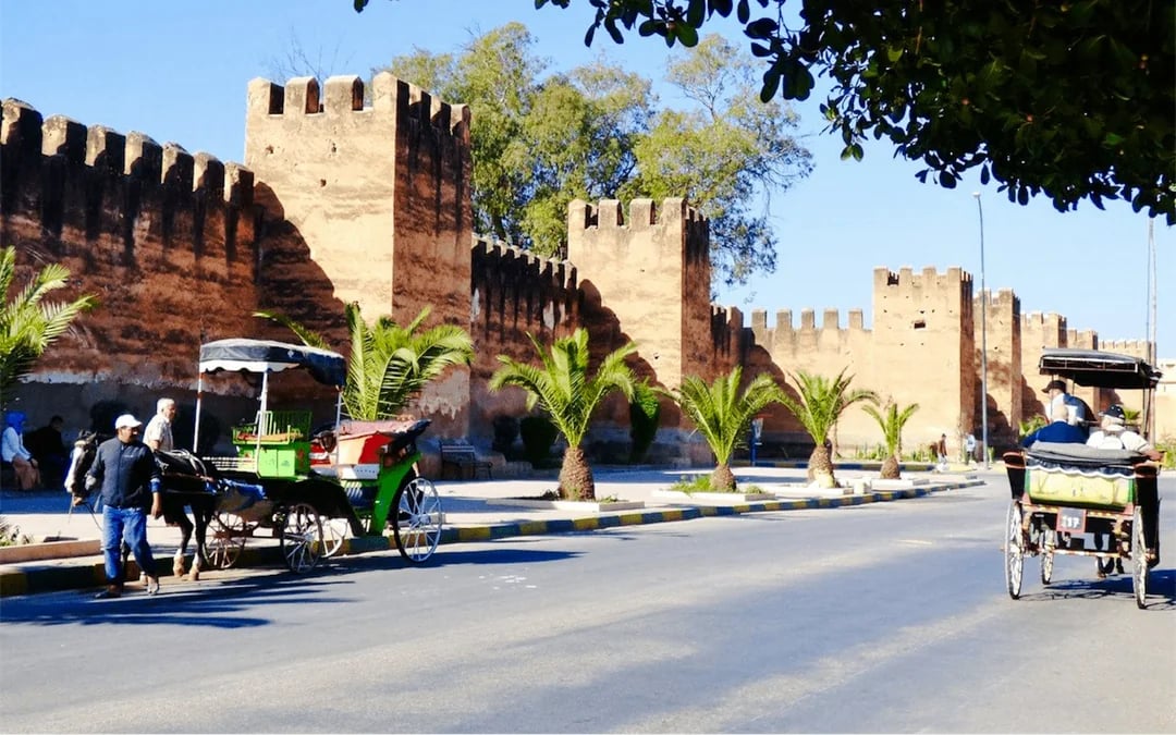 From Taghazout: Taroudant and Tiout Oasis Day Trip with Lunch Image 2