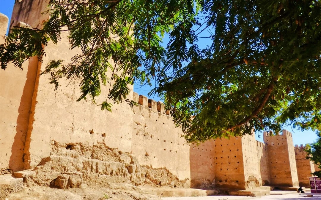 From Taghazout: Taroudant and Tiout Oasis Day Trip with Lunch Image 4