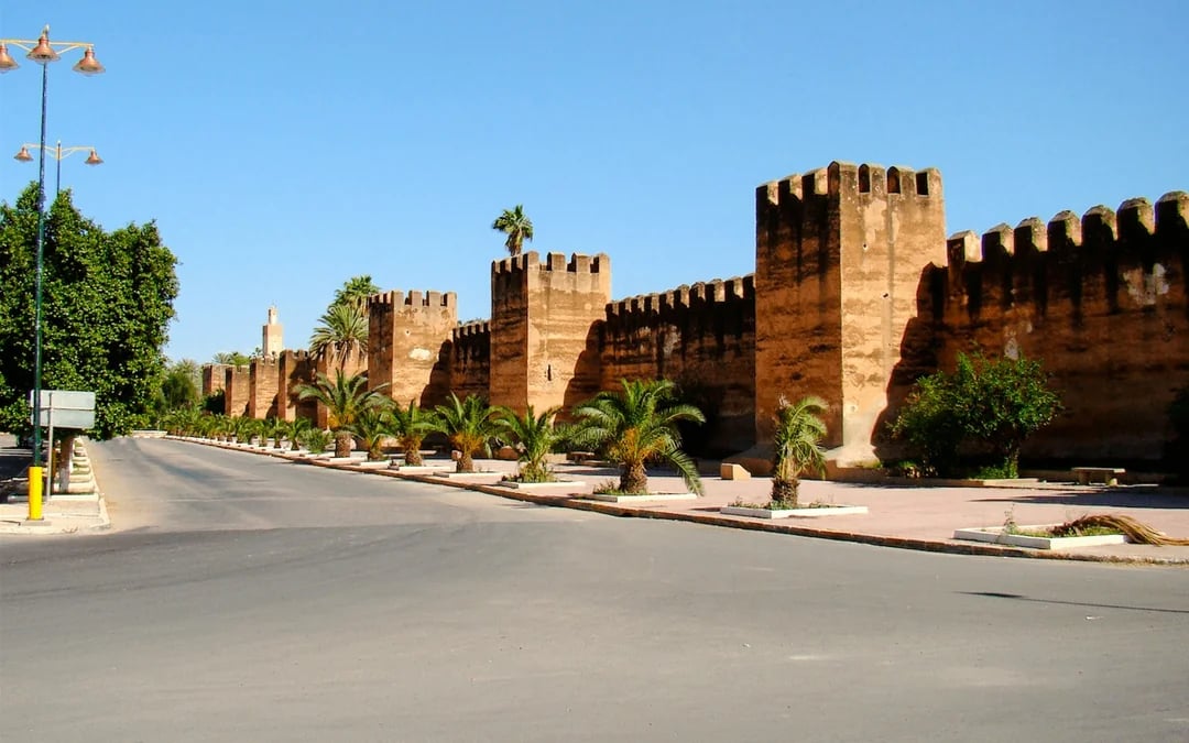 From Taghazout: Taroudant and Tiout Oasis Day Trip with Lunch Image 5