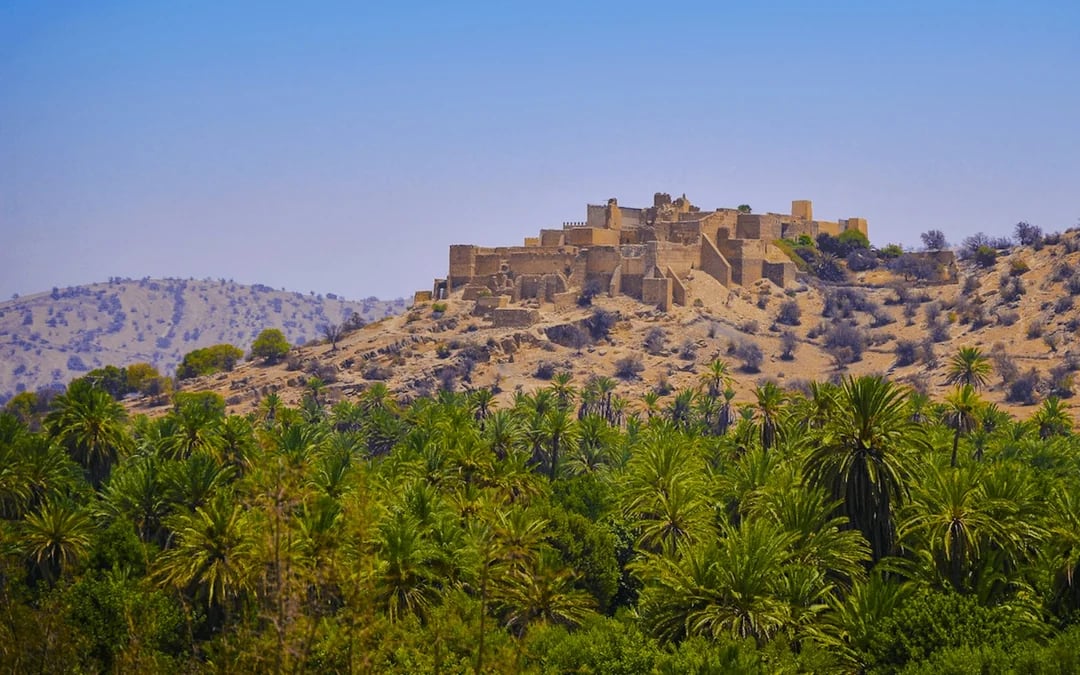 From Taghazout: Taroudant and Tiout Oasis Day Trip with Lunch Image 6