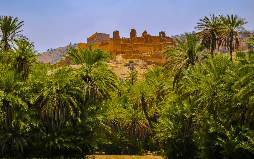 From Taghazout: Taroudant and Tiout Oasis Day Trip with Lunch Image 8