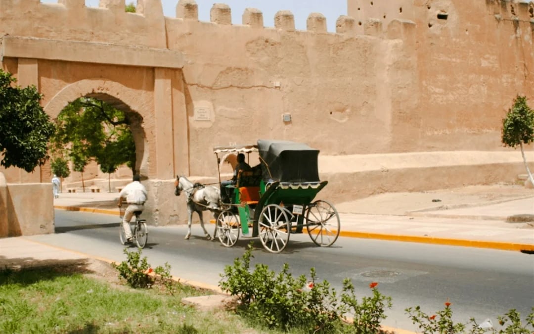 From Taghazout: Taroudant and Tiout Oasis Day Trip with Lunch Image 9