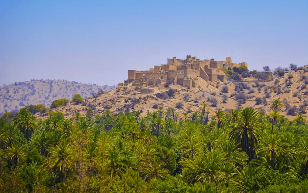 From Taghazout: Taroudant and Tiout Oasis Day Trip with Lunch Image 10
