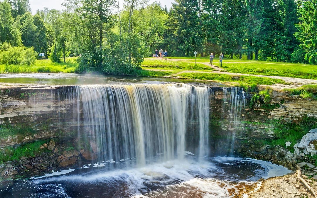 From Tallinn: Estonian Waterfalls Private Half-Day Tour with Pickup Image 3