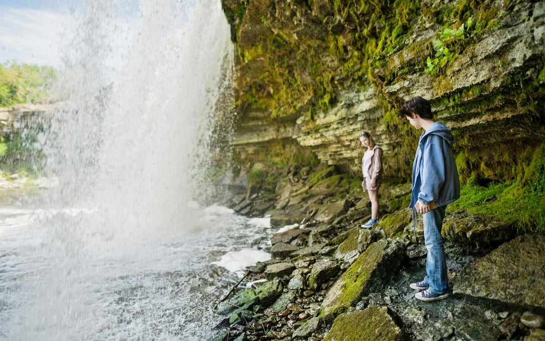 From Tallinn: Estonian Waterfalls Private Half-Day Tour with Pickup Image 5