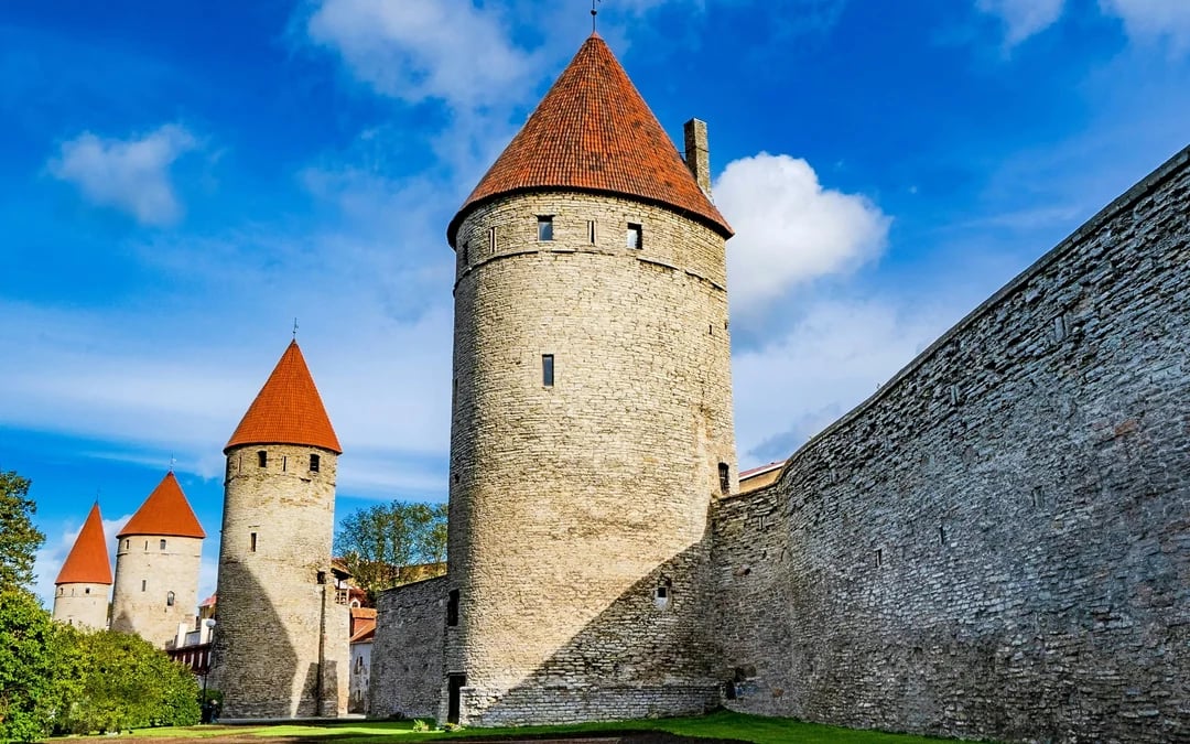 From Tallinn: Highlights Shore Excursion with Return Transfer Image 8