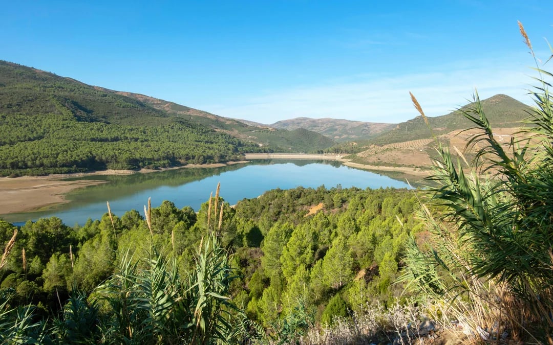 From Tangier: Chefchaouen Private Day Trip Image 3