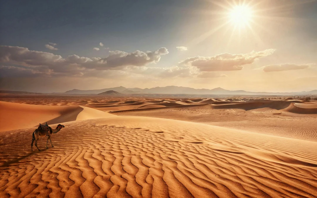 From Tangier to Marrakesh 4-Day Sahara Desert Tour with Camel Treks, Chefchaouen & Ait Benhaddou Image 2