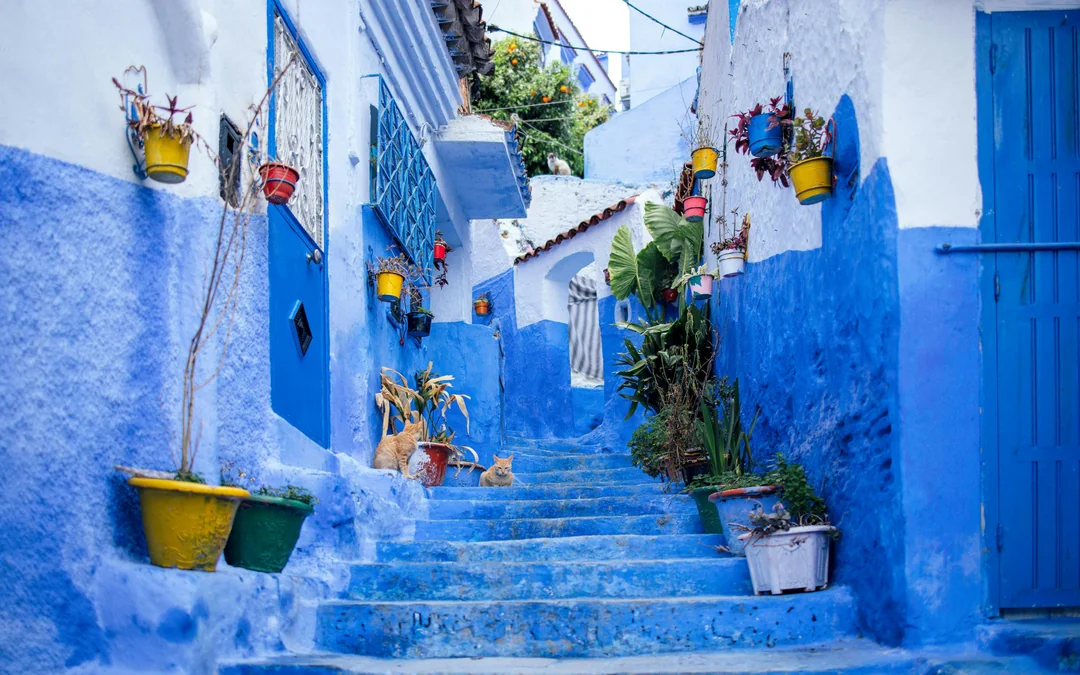 From Tangier to Marrakesh 4-Day Sahara Desert Tour with Camel Treks, Chefchaouen & Ait Benhaddou Image 3