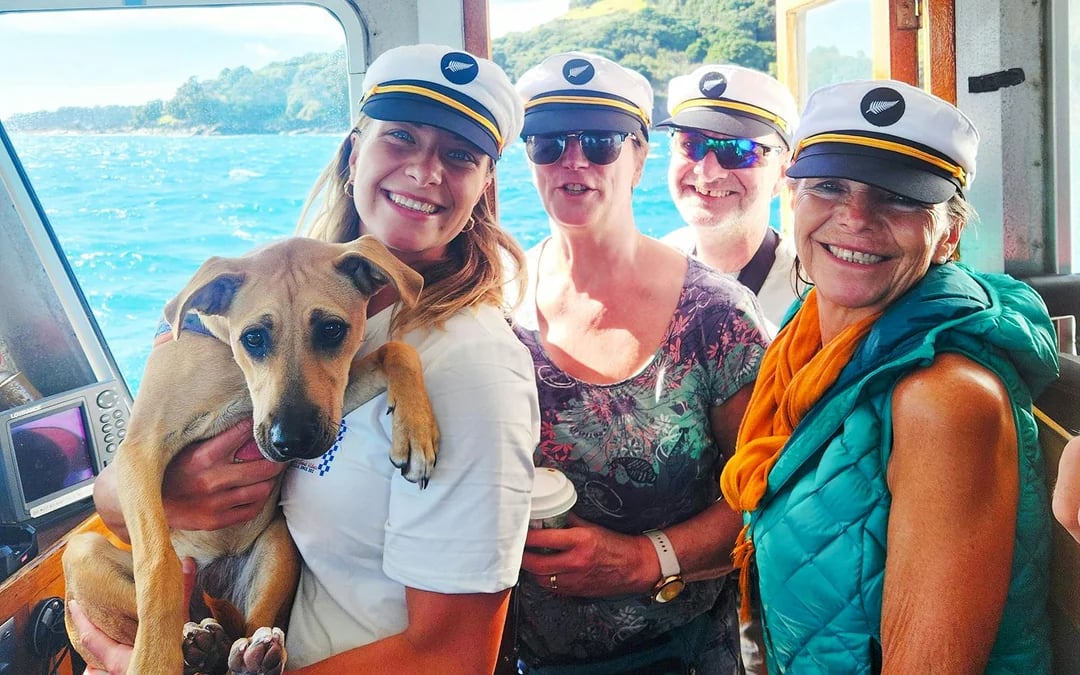 From Tauranga: Half-Day Dolphin & Wildlife Cruise Image 2