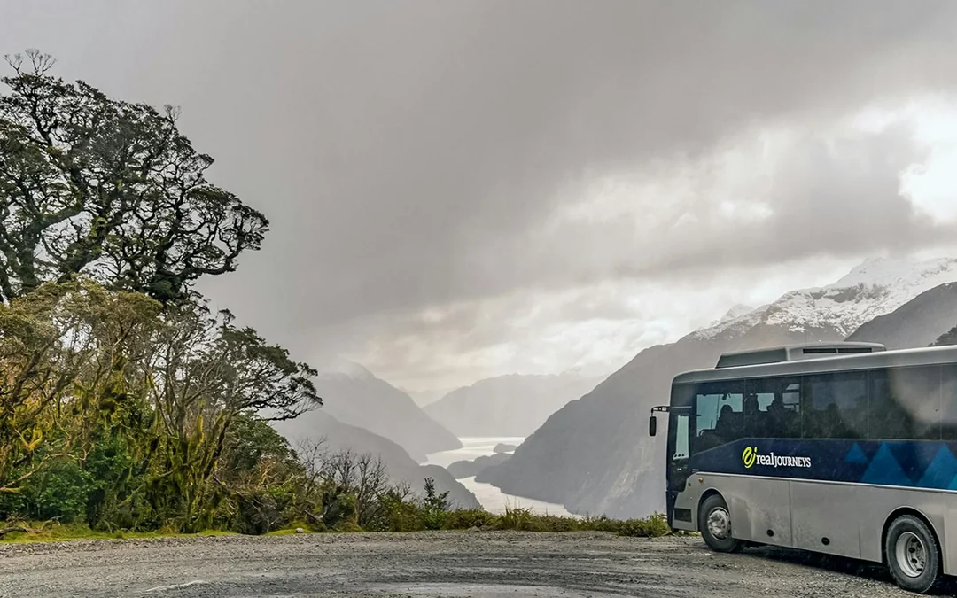 From Te Anau: Doubtful Sound Overnight Cruise Image 5
