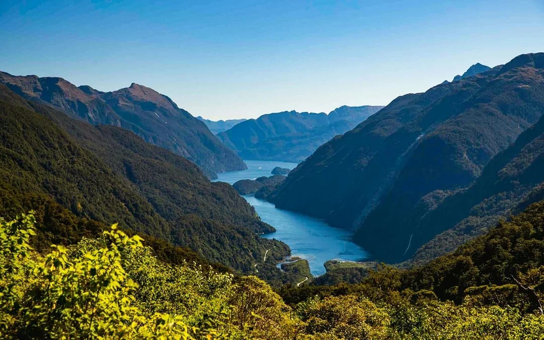 From Te Anau: Doubtful Sound Wilderness Cruise Image 3