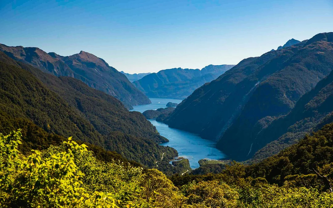From Te Anau: Doubtful Sound Wilderness Cruise Image 3